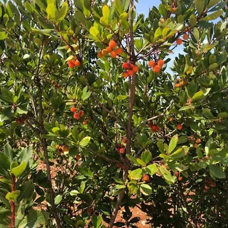 Prázdninový dům Il Pero Monopoli